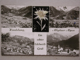 Edelweiss, Hindelang, Allgäuer Alpen - Hindelang