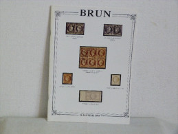 CATALOGUE  DE VENTES SUR OFFRES     "  BRUN  " - Auktionskataloge