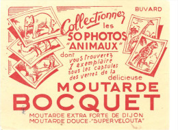 Buvard BOCQUET Moutarde BOCQUET Collectionnez Les 50 Photos D'animaux - Moutardes