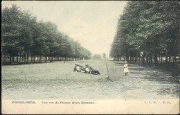 Bruxelles - Koekelberg : Une Vue Du Plateau - Parc Elisabeth - Koekelberg