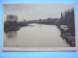 Réf: 75-3-20.                SEICHES     Passage Sur Le Loir     ( Brun Jaune ) - Seiches Sur Le Loir