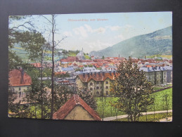 AK MÜRZZUSCHLAG Ca.1910 // D*16599 - Mürzzuschlag