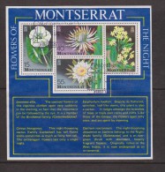 Montserrat 1977 Night Flower Miniature Sheet FU - Montserrat