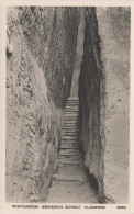 Foto AK Hering 3004 Sächsische Schweiz Klammweg Stiege Pfaffenstein Bei Königstein Pfaffendorf Gohrisch Cunnersdorf - Gohrisch