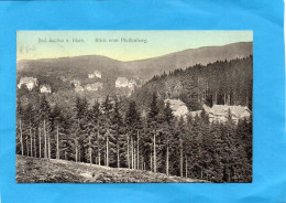 ALLEMAGNE-BAD SACHSA- Blick Vom Pfaffenberg -beau Plan-a Voyagé -1912-édition Wufschmidt - Bad Sachsa