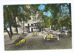 CPA 43 CPSM Hotel Les Platanes Montfaucon En Velay G Vachon Chef De Cuisine - Montfaucon En Velay