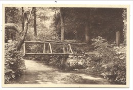 CPA - GENDRON CELLES - Pont Sur L'´Iwoigne -  Nels  // - Celles