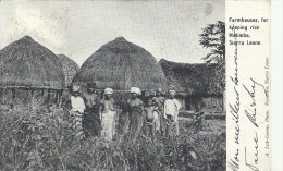 AFRIQUE -   SIERRA LEONE - Groupe D'indigénes Dans Un Village - Gros Plan - Sierra Leona