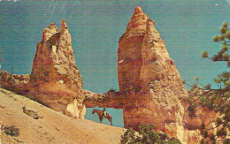 PK. TOWER BRIDGE - BRYCE CANYON NATIONAL PARK, UTAH - USA National Parks