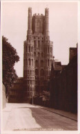 Ely  Cathedral From The Gallery - Ely