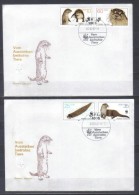 East Germany DDR Special Covers WWF Otter  Lutra Lutra   Berlin  1987 - Storia Postale