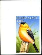 BIRDS-BURKINA FASO-1998-SET OF 6-ALL IMPERF-MNH- A5-559 - Picchio & Uccelli Scalatori