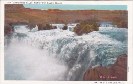 Shoshone Falls Twin Falls Idaho - Twin Falls