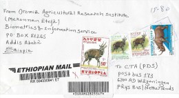 Ethiopia 2010 Aratkilo Counter 5 Bushbuck Rhinoceros Barcoded Registered Cover - Ethiopie