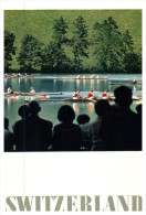 (9875) Swiss Railway Advertising Postcard (repro) - Chemin De Fer Suisse Publicitée - Aviron - Rowing - Rowing