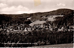 ALLEMAGNE : HINTERZARTEN - Hinterzarten