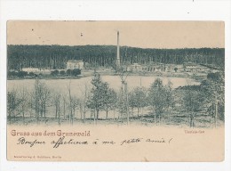 Gruss Aus Dem Grunewald  Cpa Bon état - Grunewald