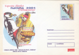 21092- WOODPECKER, BIRDS, MUSHROOMS, COVER STATIONERY, 2004, ROMANIA - Piciformes (pájaros Carpinteros)