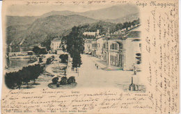 1900  Luino    Lago Maggiore - Luino