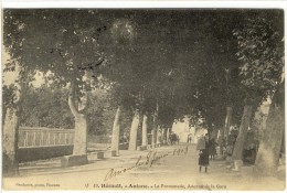 Carte Postale Ancienne Aniane - La Promenade, Avenue De La Gare - Aniane