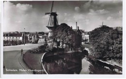 Carte Photo PAYS BAS Schiedam  Molen Vlaardingerdijk - Schiedam