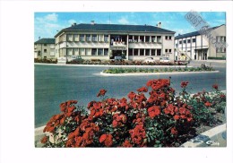 61 - TRUN - Hôtel De Ville - Voitures DS CITROEN TRACTION / Pancarte Routière ARGENTAN - Trun