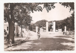 Charente Maritime - 17 - Fouras - Le Syndicat D´initiative A Gauche Et L´entrée Du Casino Animée - Fouras-les-Bains