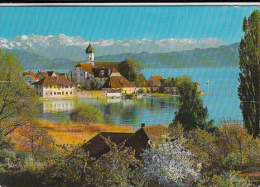 21163- WASSERBURG IM BODENSEE- LAKE, VILLAGE PANORAMA - Wasserburg A. Bodensee