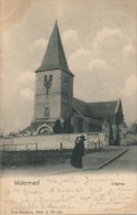 BELGIQUE - WATERMAEL - L'Église - Watermael-Boitsfort - Watermaal-Bosvoorde