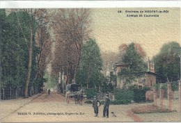 CENTRE - 28 - EURE ET LOIR - NOGENT LE ROI - Avenue De Coulombs - Colorisée - Nogent Le Roi