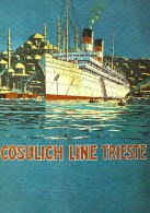 # OCEAN LINER Art Print Stampa Gravure Poster Druck Ship Atlantic Travel Vintage Italy America Trieste Turkey Istanbul - Decoración Maritima