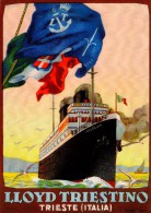 # OCEAN LINER Art Print Stampa Gravure Poster Druck Ship America Atlantic Vintage Italy Lloyd Triestino Trieste - Maritieme Decoratie