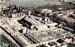 ¤¤  -   3 A  -  TEBESSA   -  Vue Générale Sur Les Ruines Romaines De La Basilique   -  ¤¤ - Tebessa