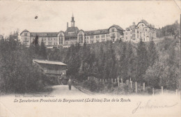 Le Sanatorium Provincial De Borgoumont, Vue De La Route (pk19516) - Stoumont