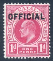 Natal 1904. 1d Carmine OFFICIAL. SACC 2*, SG 2*. - Natal (1857-1909)