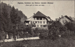 Signau - Signau