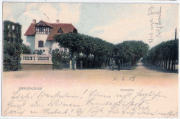 Lübeck TRAVEMÜNDE Kaiserallee Villa Color Belebt 7.6.1908 Nachverwendet - Lübeck-Travemuende