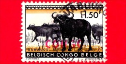 Repubblica Democratica Del CONGO - Usato - 1960 - Animali - Bufalo Nero Con Sovrastampato CONGO - 1.50 - Oblitérés