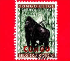 Repubblica Democratica Del CONGO - Usato - 1960 - Animali - Gorilla Con Sovrastampato CONGO - 1 - Usati