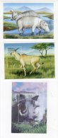 CONGO - 1999 - BLOCS  N°146/8  **  ANIMAUX - Mint/hinged