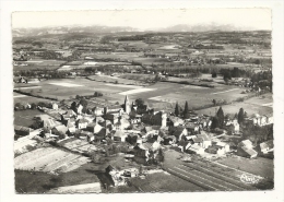 Cp, 38, St-André-le-Gaz, Vue Panoramique, Voyagée 1957 - Saint-André-le-Gaz