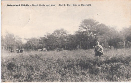 Ostseebad GRAAL MÜRITZ Durch Heide U Moor Bild 4 Der Hirte Im Morwald 17.7.1933 Gelaufen - Graal-Müritz