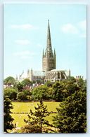 POSTCARD NORWICH CATHEDRAL FROM THE SOUTH EAST KN 103 COLOUR POSTCARD CPA CRICKET CRICKETERS IN FOREGROUND - Norwich