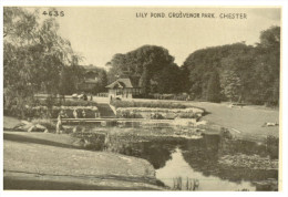 (335) Old Postcard - Carte Ancienne - UK - Chester & Lily Pond - Chester