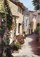 Le Castellet : Vieille Rue (n°37/10) Vieux Villages De Provence N°37/10 Dentelée - Le Castellet