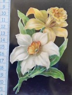 Chromo Decoupis, Gaufré A Coller. Theme Floral, Fleur, Vers 1900 - Fiori