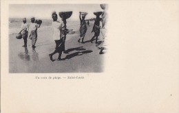 Sénégal - Saint-Louis - Précurseur - Femmes Porteuse D'eau Plage - Senegal