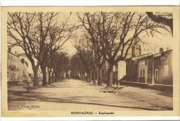 Carte Postale Ancienne Montagnac - Esplanade - Montagnac