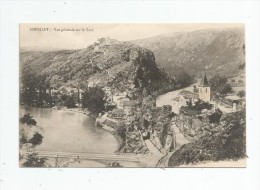 Cp , 81 , AMBIALET , Vue Générale Sur Le Tarn , Dos Simple , Vierge - Sonstige & Ohne Zuordnung