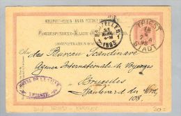 Italien Triest 1893-04-18 Ganzsache > Brüssel - Autres & Non Classés